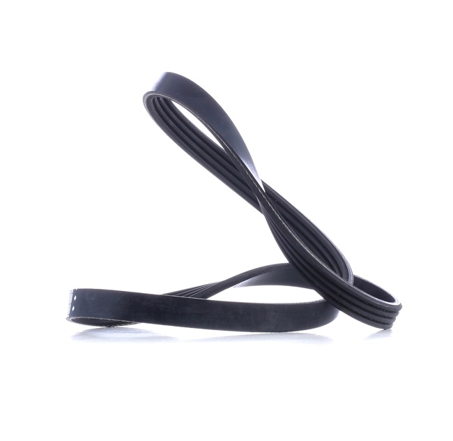 Correia trapezoidal estriada 40716 FEBI BILSTEIN BMW X5 (E70) 3.0 d 2007 235 cv