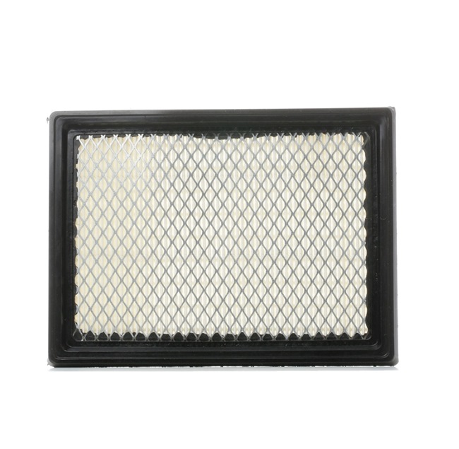 SKAF-0060073 STARK 1654673C10 Air filter