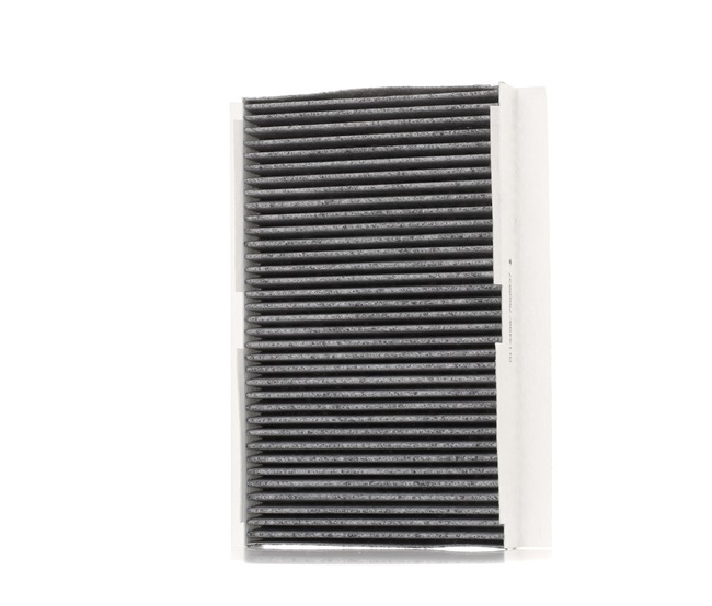 SKIF-0170019 STARK 6479C2 Pollen filter