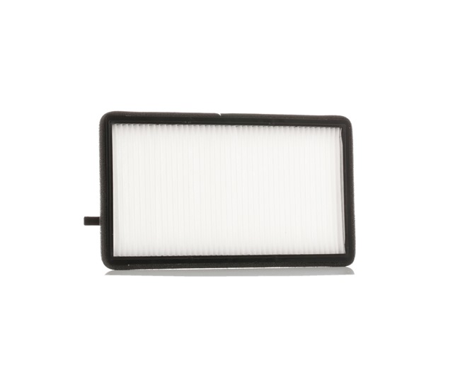 Numero OEM 1 393 489 - Filtro abitacolo SKIF-0170052 BMW