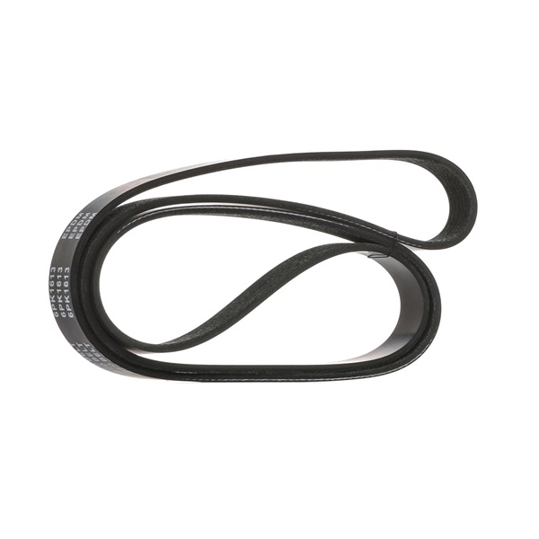 Correa trapecial poli V SK-6PK1613 STARK SEAT Exeo Sedán (3R2) 2.0 TDI 2010 143 cv