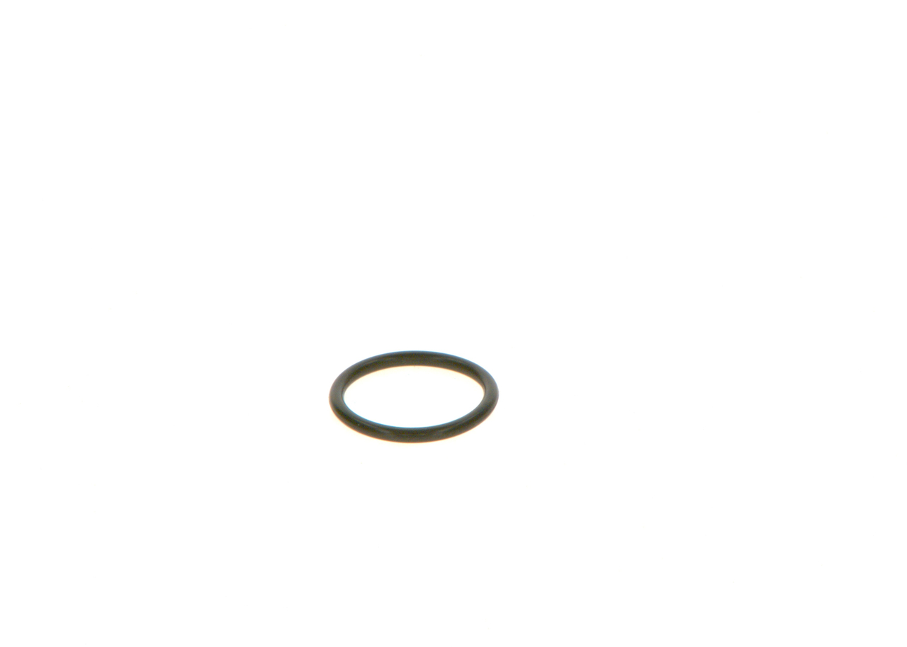 Seal Ring F 00V C38 048 BOSCH
