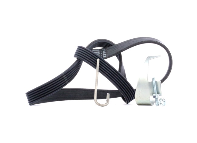 Numéro OEM 2S6E 6C301 DB - Jeu de courroies trapézoïdales à nervures 6PK1019 ELAST T2 FORD, MAZDA, FORD USA