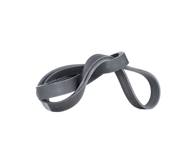 Keilrippenriemen 7PK1770 CONTITECH 8200111788