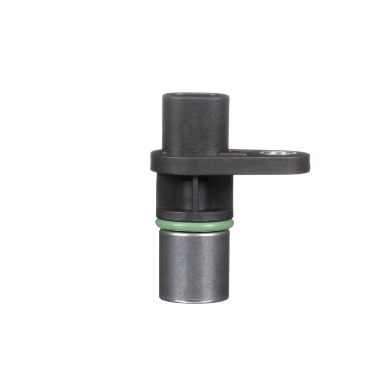 order DELPHI (SS10133-12B1) Krukassensor