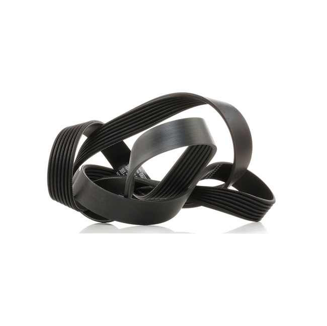 BOSCH 1 987 947 375 serpentine belt NISSAN NP300 Navara Pickup (D40) 2.5 dCi 4WD (D40TT, D40T, D40M, D40BB) 190hp 2020