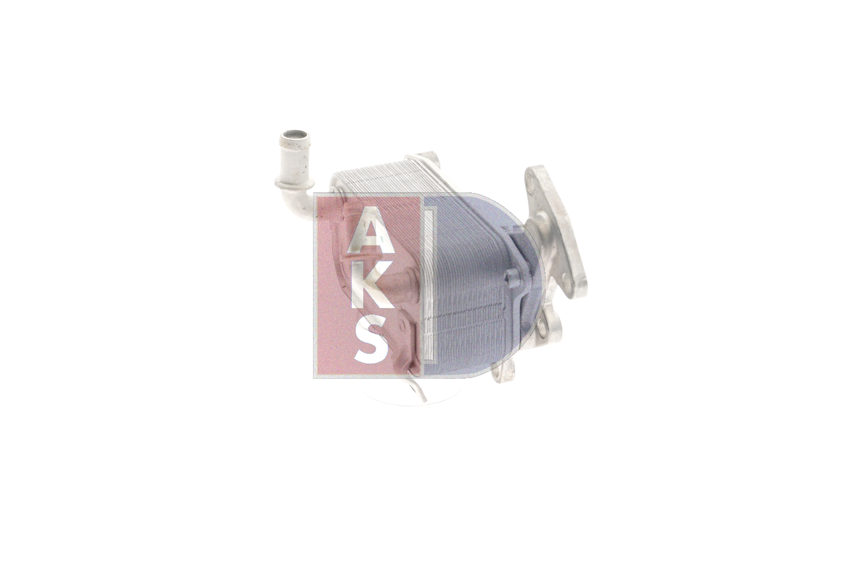 Radiatore olio, Cambio automatico 046024N AKS DASIS Volkswagen Passat B6 Variant (3C5) 1.4 TSI 2009 122 CV