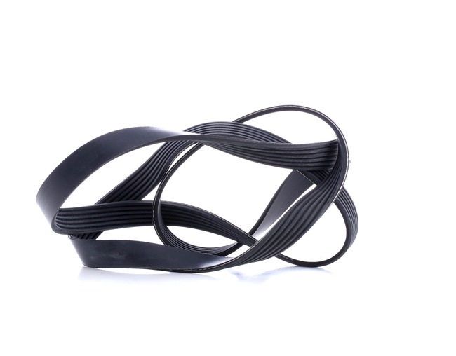 order FEBI BILSTEIN (45239) Serpentine belt