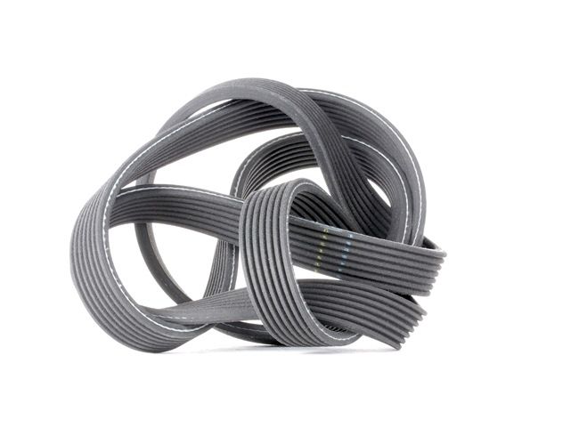 GATES | Correia trapezoidal estriada G-Force WorkHorse™ 7DPK1880 BMW 7 (F01, F02, F03, F04) 2009 baratos online