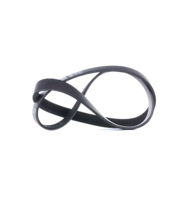 Rippenriemen 6PK1030SF GATES FORD C-Max II (DXA/CB7, DXA/CEU) 1.6 Ti 2014 105 PS