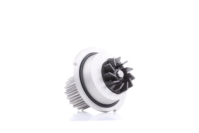 order DOLZ (D211) Water pump