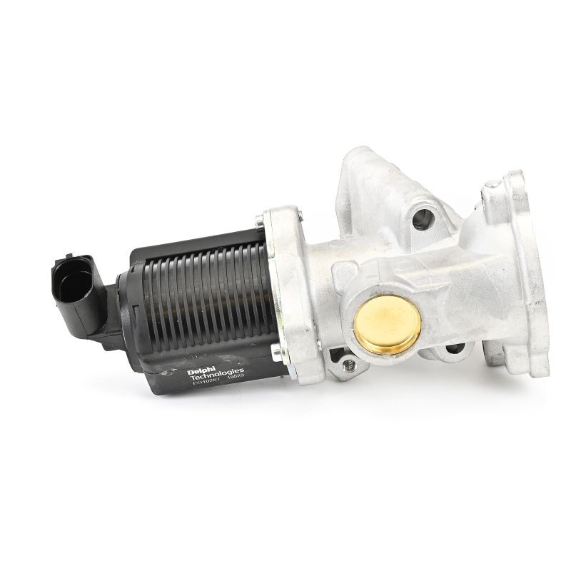 DELPHI EG10257-12B1 EGR valve FIAT Fiorino MPV (225) 1.3 JTD Multijet 95 hp Diesel 2016