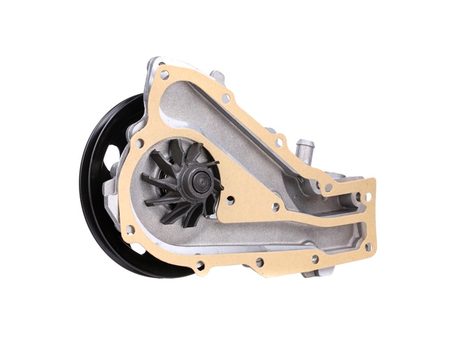 DOLZ R129 Pompe à eau Renault Supercinq