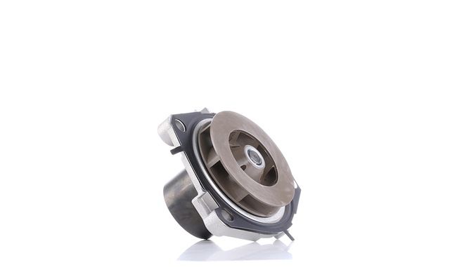 order DOLZ (A300) Water pump
