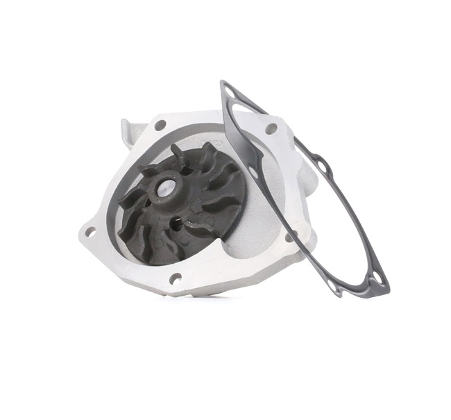 R233 DOLZ 144B00004R Water pump