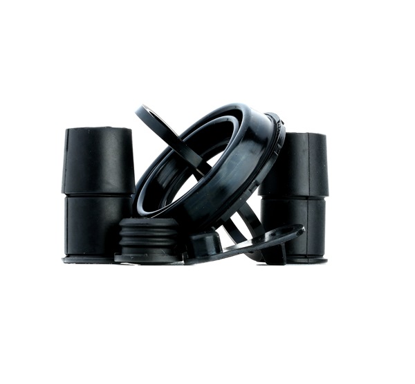 Kit di revisione della pinza freno 242022 FRENKIT BMW X5 (F15, F85) xDrive 28 i 2017 245 CV