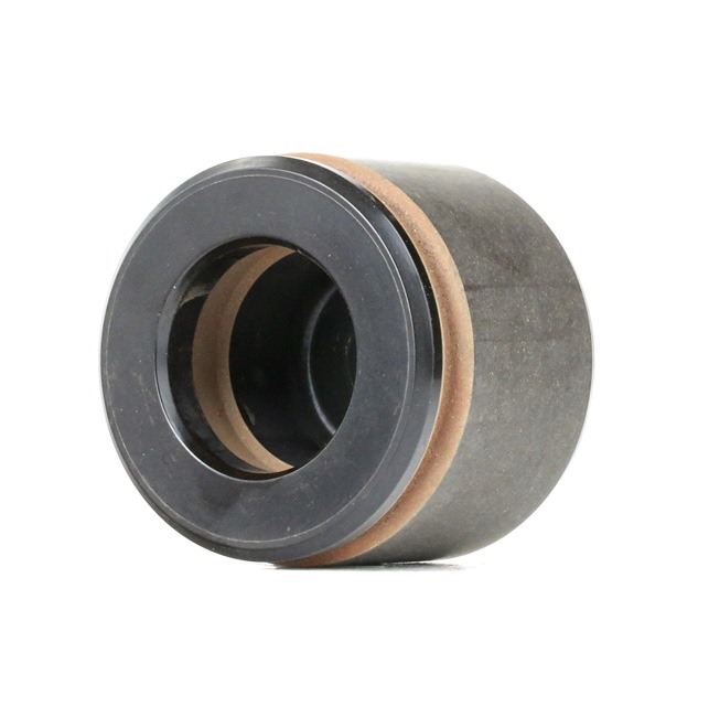 acquisto online FRENKIT Pistone pinza freno P665201 Dodge 23,53 €