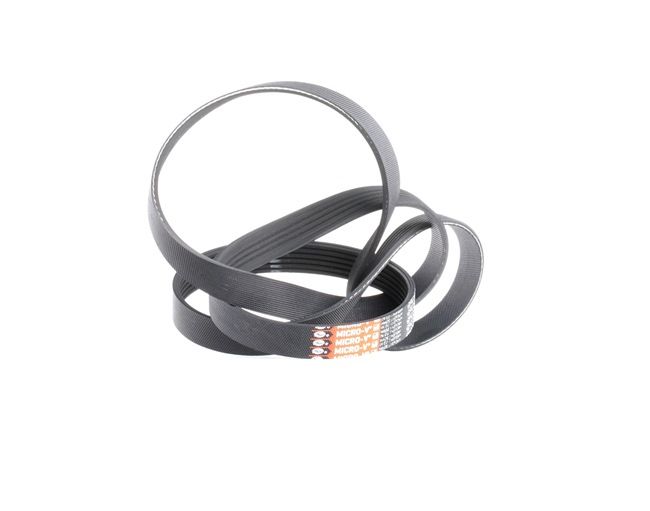 Correia trapezoidal estriada 6PK1548 GATES BMW 7 (E65, E66, E67) 735i 4.0 2009 306 cv