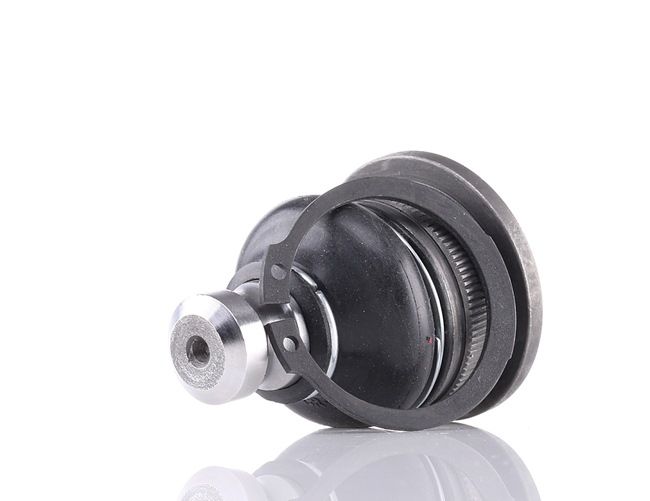 MONROE | Kulled L25544 RENAULT Clio III Hatchback (BR0/1, CR0/1) 2012 billiga online