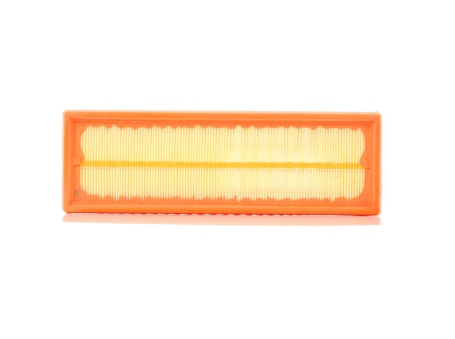 PURFLUX A1232 Renault Scenic 1 air filter replacement cost