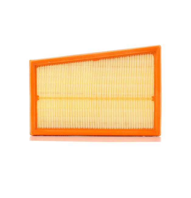 Número OEM 16 54 6JD 20B - Filtro de aire A1317 RENAULT, NISSAN, TOYOTA, MAZDA, DACIA