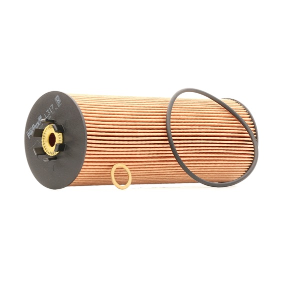 Oliefilters L317 PURFLUX Volkswagen Passat B5 GP Variant (3BG, 3B6) 2.5 TDI 4motion 2002 150 Pk