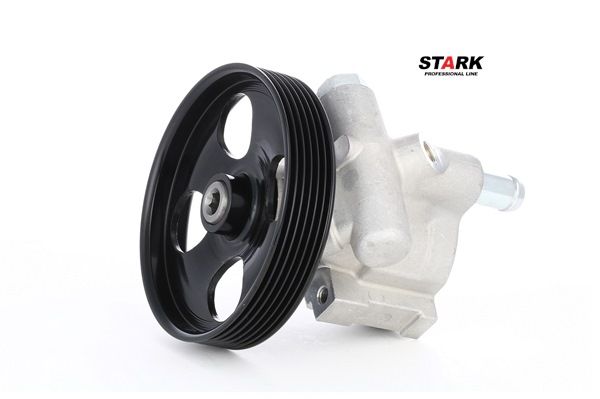 STARK SKHP-0540005 power steering pump RENAULT Espace IV (JK) 2.0 Turbo 163hp 2010