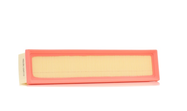OEM-Nummer 1654-600Q0E - Luftfilter SKAF-0060123 RENAULT, NISSAN, DACIA, INFINITI