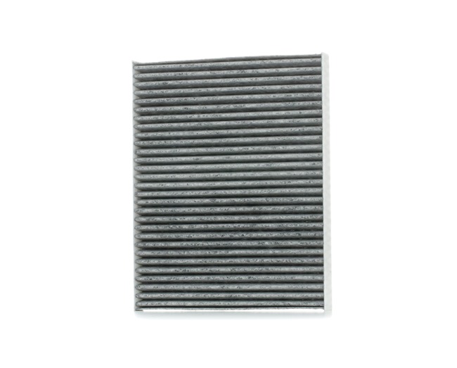 SKIF-0170133 STARK 1566997 Pollen filter