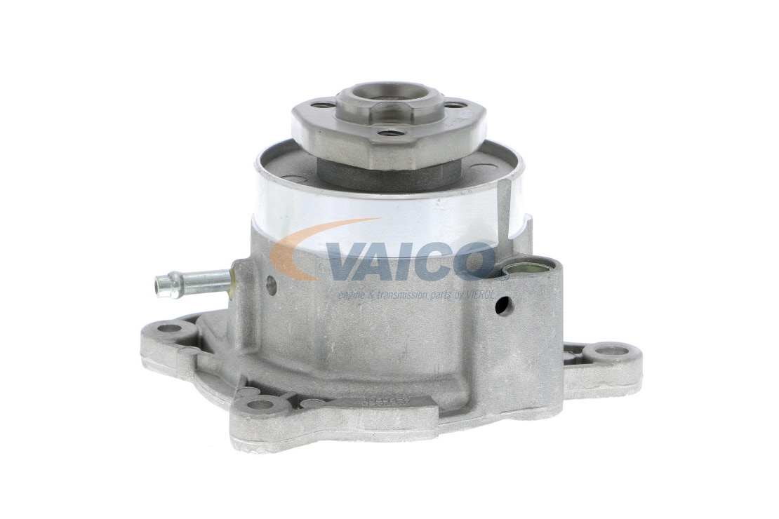 order VAICO (V10-50081) Water pump