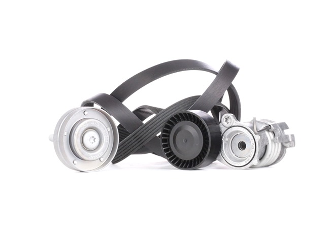 Kit Cinghie Poly-V 529 0090 10 INA Volkswagen Polo V Hatchback (6R1, 6C1) 1.2 2015 75 CV