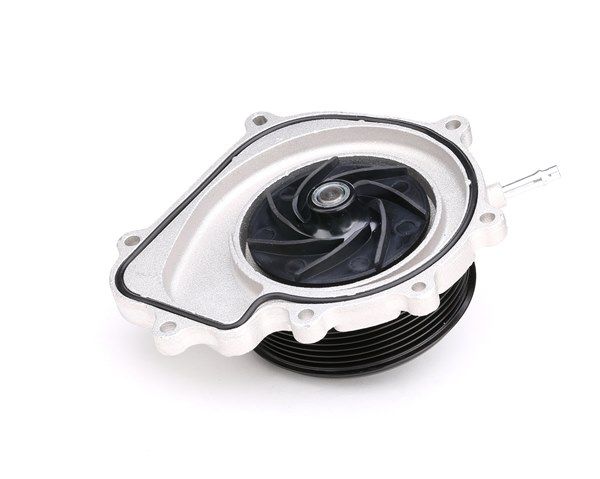 order DOLZ (M251) Water pump
