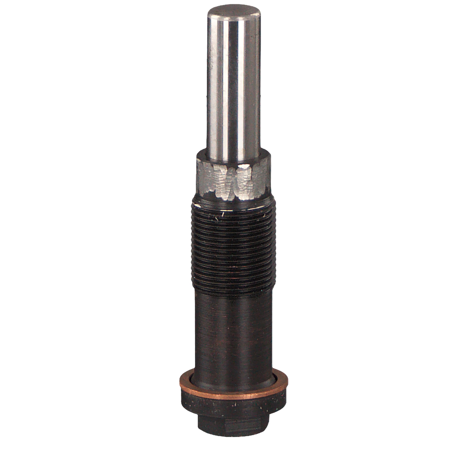 FEBI BILSTEIN 46381 Tendeur, chaîne de distribution Ford Transit Connect mk1