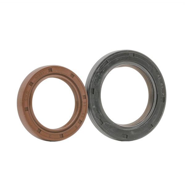 PAYEN HL5010 crankshaft seal PEUGEOT 306 Hatchback 1.9 D 64hp 1999