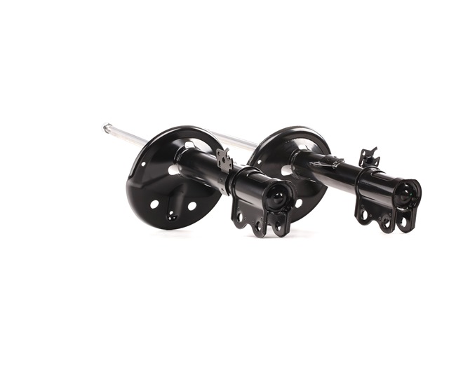 STARK SKSA-0132257 Shock absorber TOYOTA RAV 4 II (CLA2_, XA2_, ZCA2_, ACA2_) 2.4 163 hp Petrol 2003