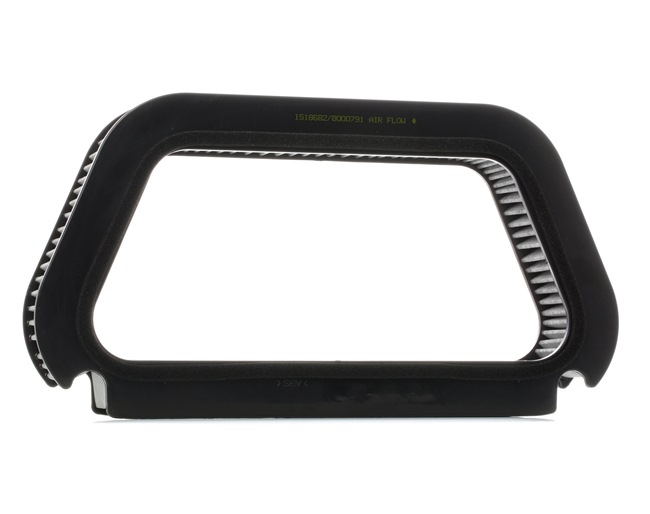 424I0207 RIDEX 4E0819439A Pollen filter