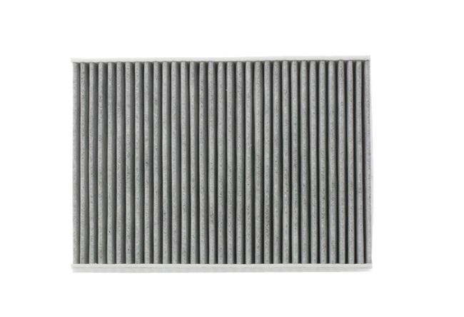 order RIDEX (424I0219) Pollen filter