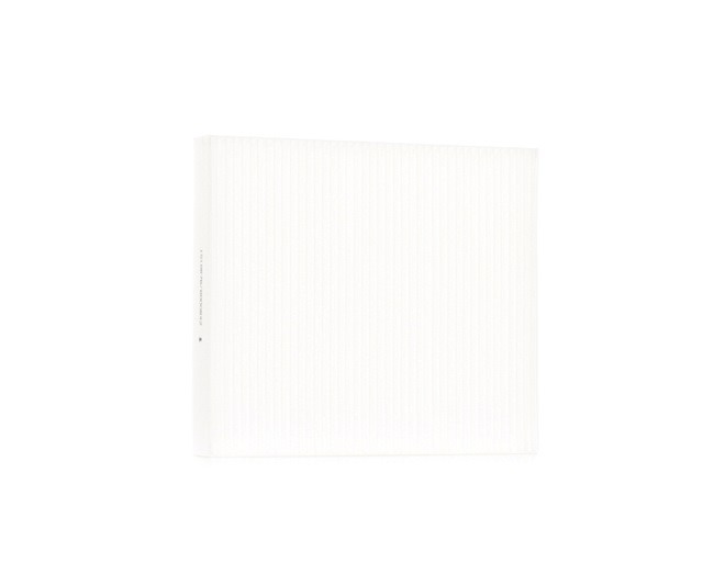 order RIDEX (424I0317) Interieurfilter