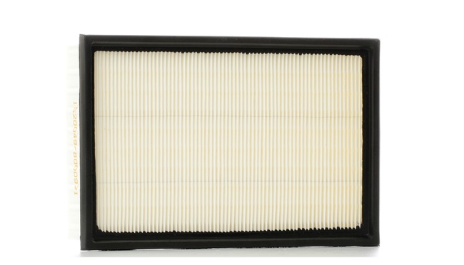 RIDEX 8A0153 Peugeot 206 Hatchback air filter replacement cost