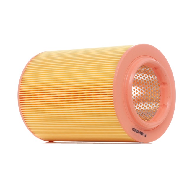 RIDEX | Filtro dell'aria Cartuccia filtro, Filtro aria ricircolo 8A0134 Volkswagen Transporter T4 Bus (70B, 70C, 7DB, 7DK, 70J, 70K, 7DC, 7DJ) 1994 economici online