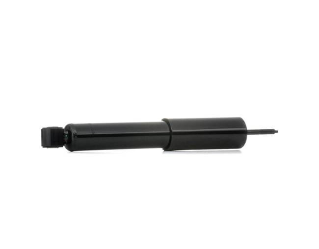 RIDEX 854S0177 Stoßdämpfer Satz MITSUBISHI Colt VI Plus