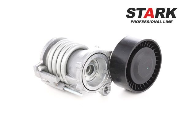 Rullo tenditore cinghia Poly-V SKTP-0600069 STARK Volkswagen Polo V Hatchback (6R1, 6C1) 1.2 2009 70 CV