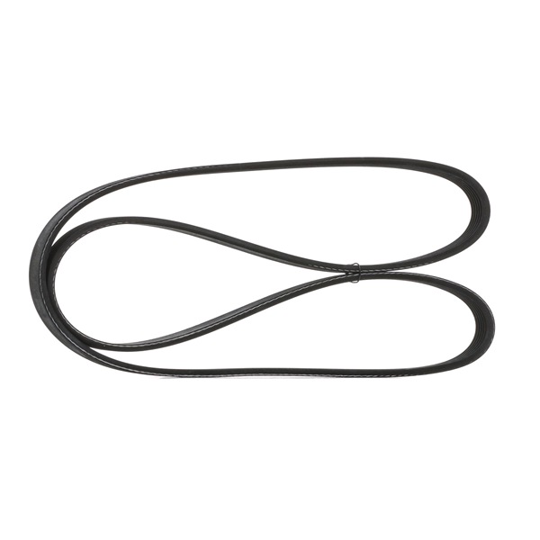 SKPB-0090005 STARK Correia de acessórios Comprimento (mm): 1250 comprar online