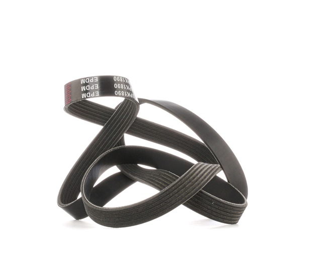 Correia trapezoidal estriada SKPB-0090033 STARK BMW X5 (E70) 3.0 d 2008 235 cv