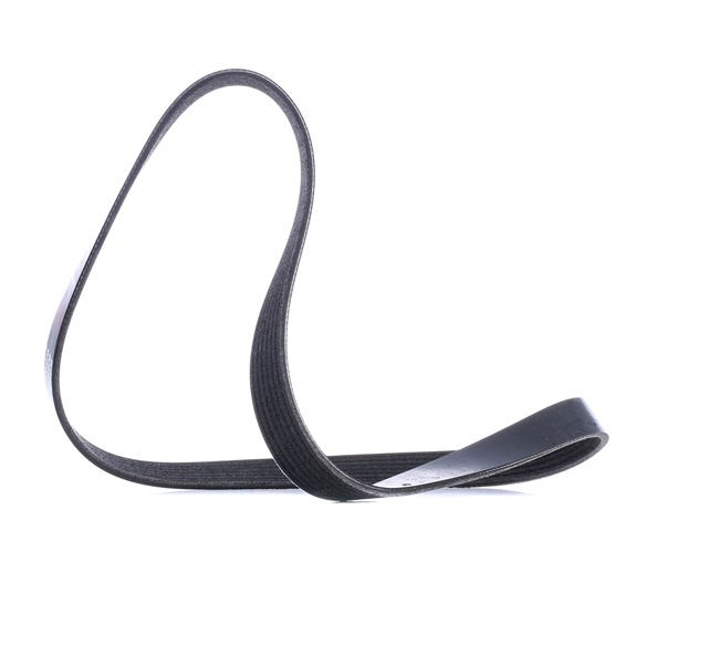 STARK SKPB-0090077 Serpentine belt ALFA ROMEO 145 (930) 2.0 16V T.S. 150 hp Petrol 1996