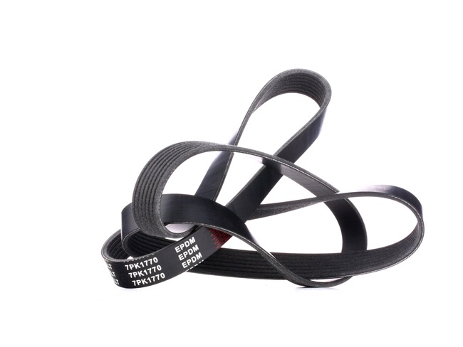 Keilrippenriemen SKPB-0090109 STARK 8200111788