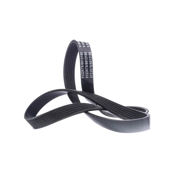 STARK | Correia de ventoinha SKPB-0090131 BMW 1 Hatchback (F40) 2021 baratos online