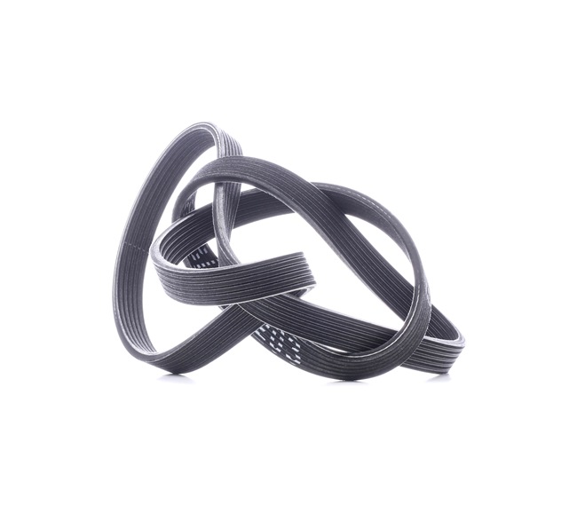 order STARK (SKPB-0090134) Serpentine belt
