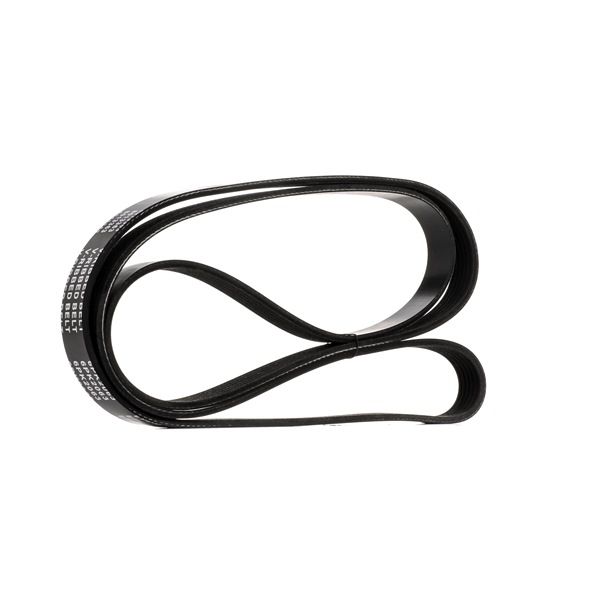 Número OEM 074 145 933 G - Correia trapezoidal estriada SKPB-0090187 BMW, VW, MERCEDES-BENZ, OPEL, AUDI