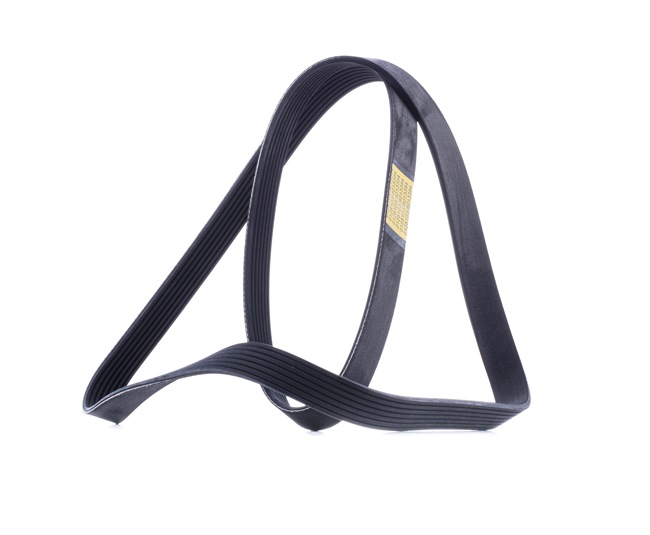 Correia trapezoidal estriada SKPB-0090201 STARK HONDA Accord VII Sedan (CL, CN) 2.0 2004 155 cv